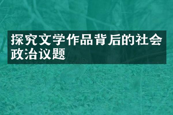 探究文学作品背后的社会政治议题