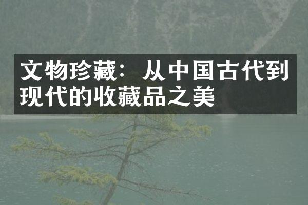 文物珍藏：从中国古代到现代的收藏品之美