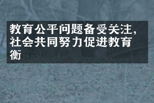 教育公平问题备受关注，社会共同努力促进教育均衡