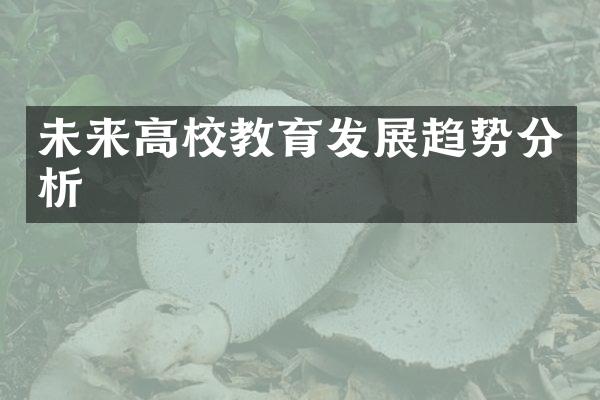 未来高校教育发展趋势分析