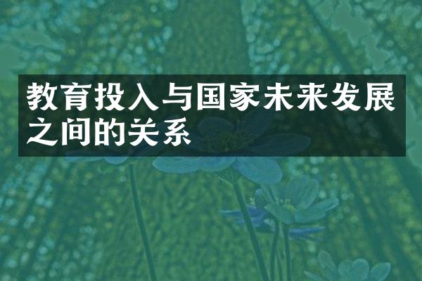 教育投入与国家未来发展之间的关系