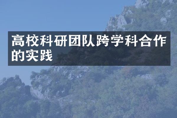 高校科研团队跨学科合作的实践