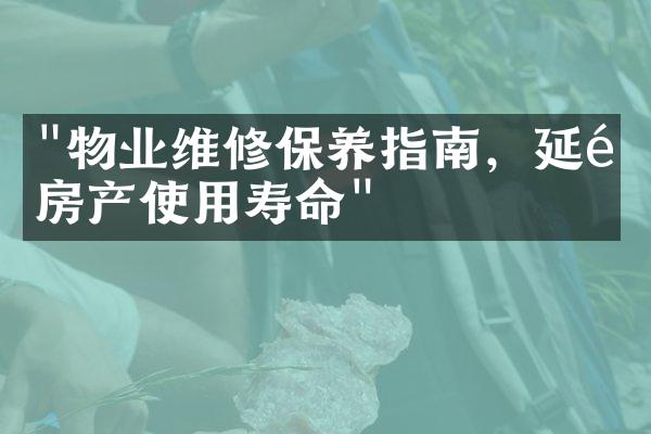 "物业维修保养指南，延长房产使用寿命"