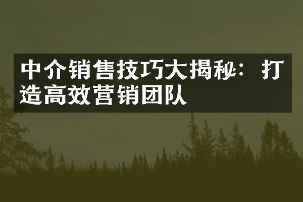 中介销售技巧大揭秘：打造高效营销团队