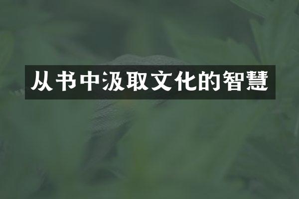 从书中汲取文化的智慧