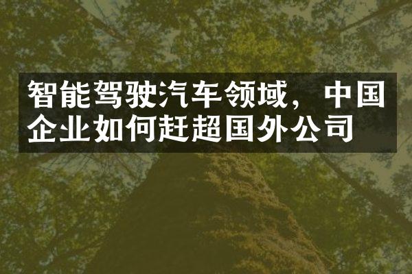 智能驾驶汽车领域，中国企业如何赶超国外公司