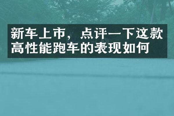 新车上市，点评一下这款高性能跑车的表现如何？