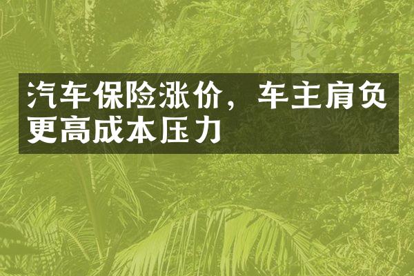 汽车保险涨价，车主肩负更高成本压力