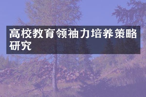 高校教育力培养策略研究