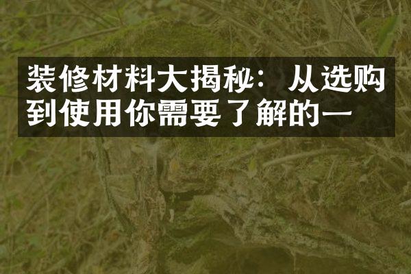 装修材料大揭秘：从选购到使用你需要了解的一切