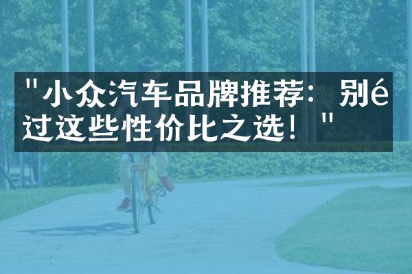 "小众汽车品牌推荐：别错过这些性价比之选！"