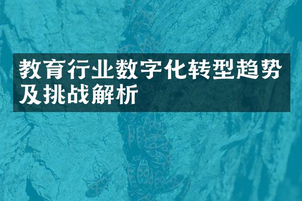 教育行业数字化转型趋势及挑战解析