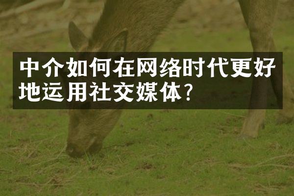 中介如何在网络时代更好地运用社交媒体？