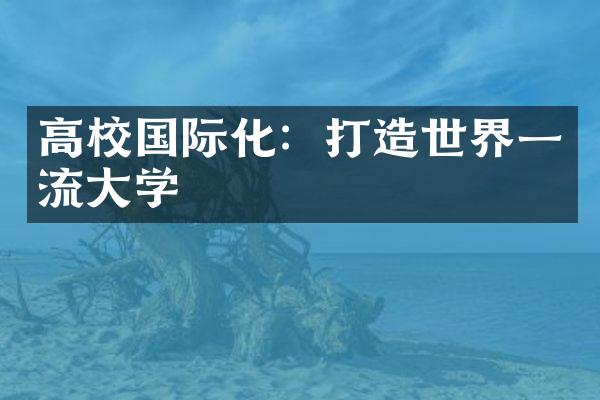 高校国际化：打造世界一流学