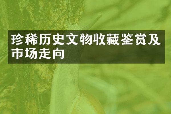 珍稀历史文物收藏鉴赏及市场走向