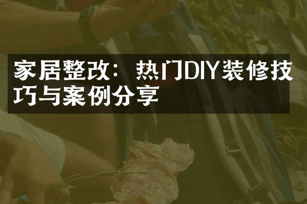 家居整改：热门DIY装修技巧与案例分享