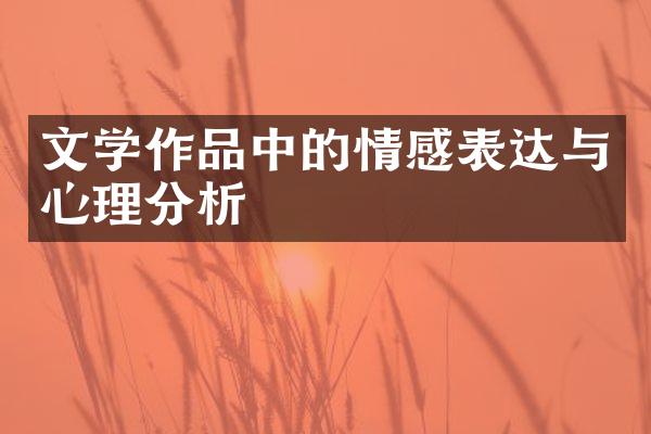 文学作品中的情感表达与心理分析