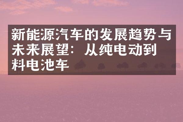 新能源汽车的发展趋势与未来展望：从纯电动到燃料电池车