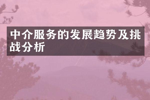 中介服务的发展趋势及挑战分析