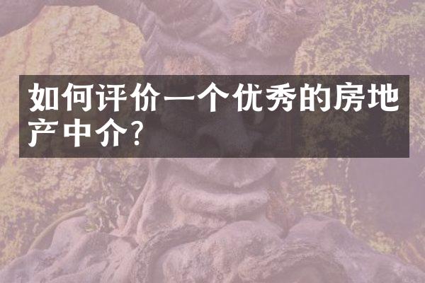 如何评价一个优秀的房地产中介？