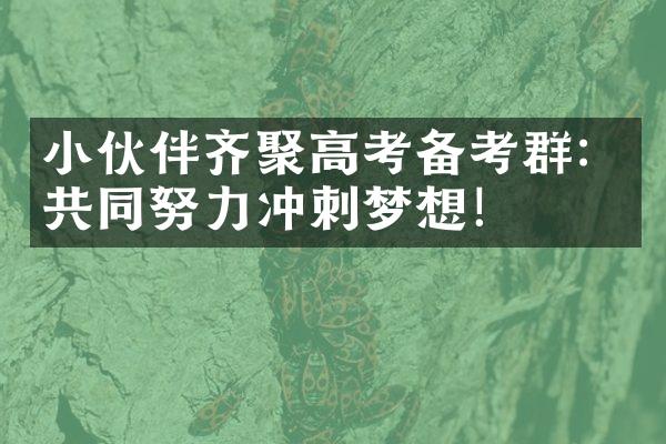 小伙伴齐聚高考备考群：共同努力冲刺梦想！