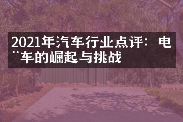 2021年汽车行业点评：电动车的崛起与挑战