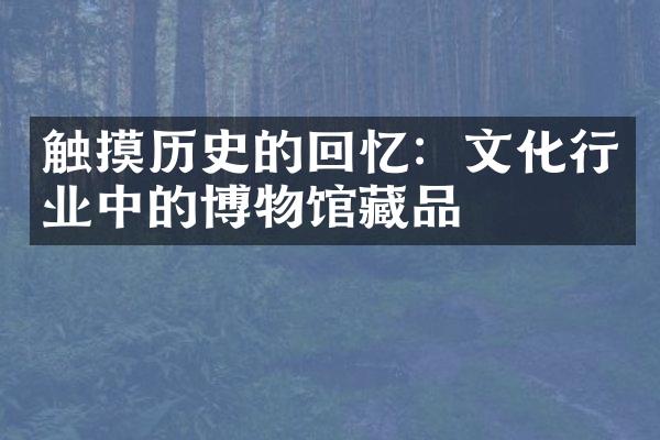 触摸历史的回忆：文化行业中的博物馆藏品