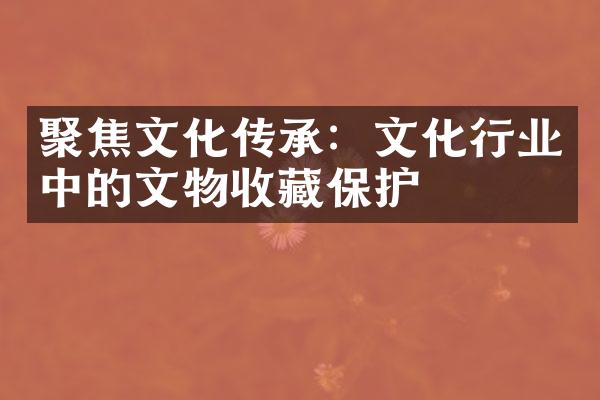 聚焦文化传承：文化行业中的文物收藏保护