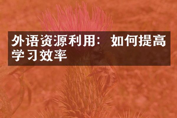 外语资源利用：如何提高学效率