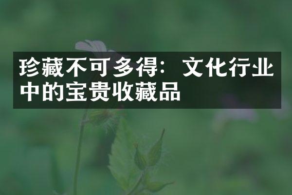 珍藏不可多得：文化行业中的宝贵收藏品