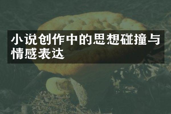 小说创作中的思想碰撞与情感表达