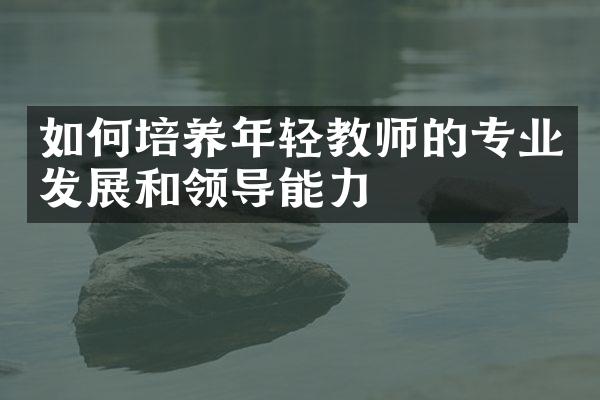 如何培养年轻教师的专业发展和领导能力