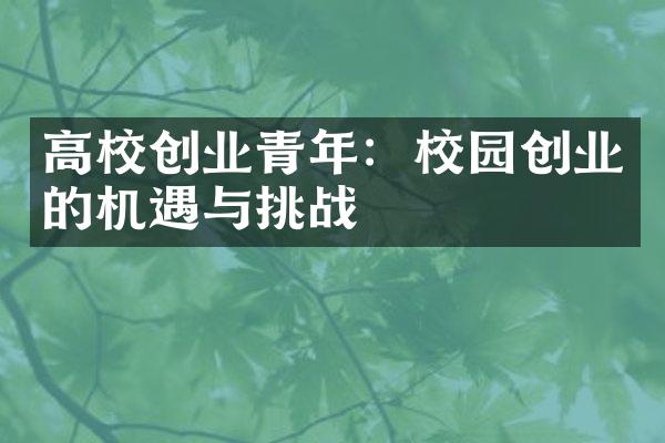 高校创业青年：校园创业的机遇与挑战