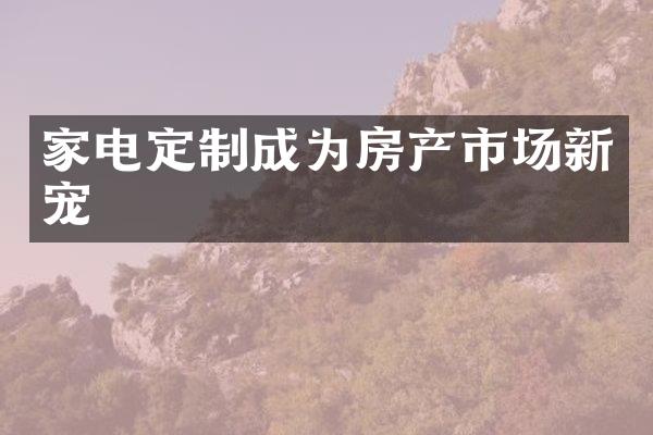 家电定制成为房产市场新宠