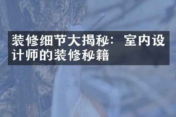 装修细节大揭秘：室内设计师的装修秘籍