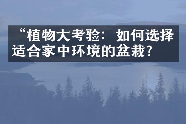 “植物大考验：如何选择适合家中环境的盆栽？”