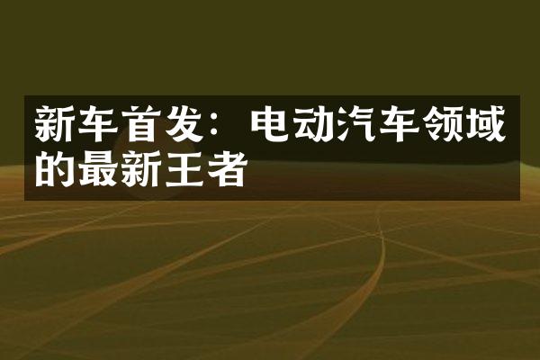 新车首发：电动汽车领域的最新王者