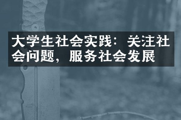 大学生社会实践：关注社会问题，服务社会发展