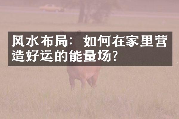 风水布局：如何在家里营造好运的能量场？