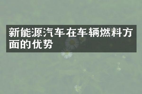 新能源汽车在车辆燃料方面的优势