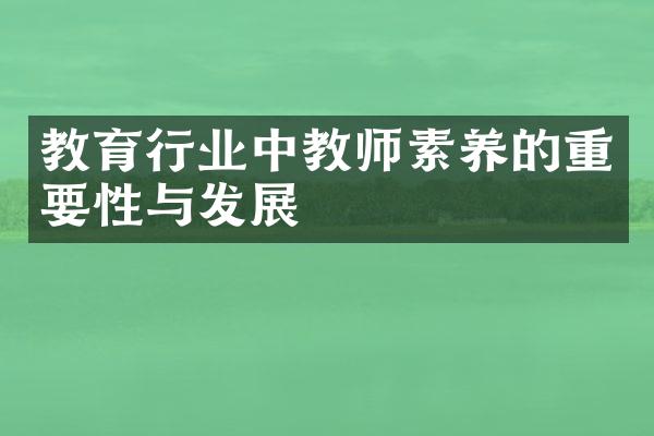 教育行业中教师素养的重要性与发展