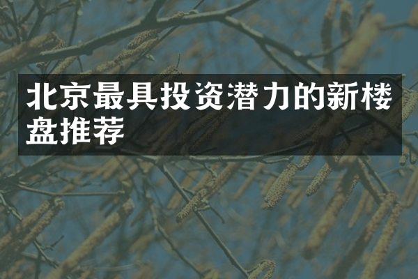 北京最具投资潜力的新楼盘推荐