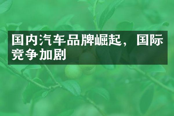 国内汽车品牌崛起，国际竞争加剧