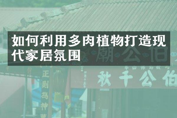 如何利用多肉植物打造现代家居氛围