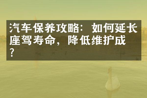 汽车保养攻略：如何延长座驾寿命，降低维护成本？