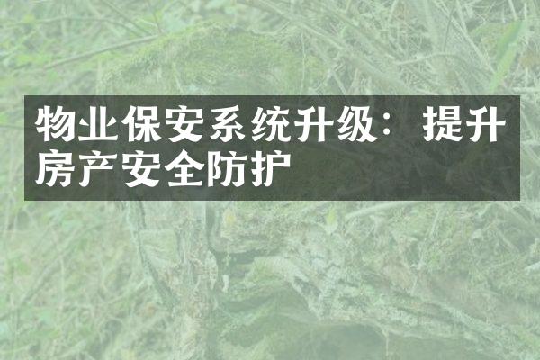 物业保安系统升级：提升房产安全防护