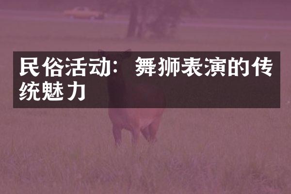 民俗活动：舞狮表演的传统魅力