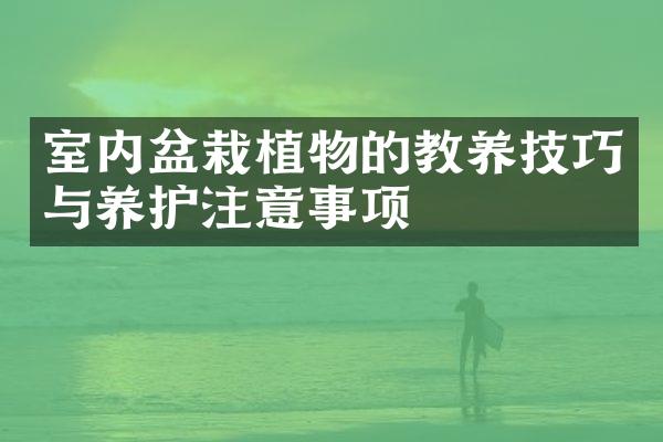 室内盆栽植物的教养技巧与养护注意事项