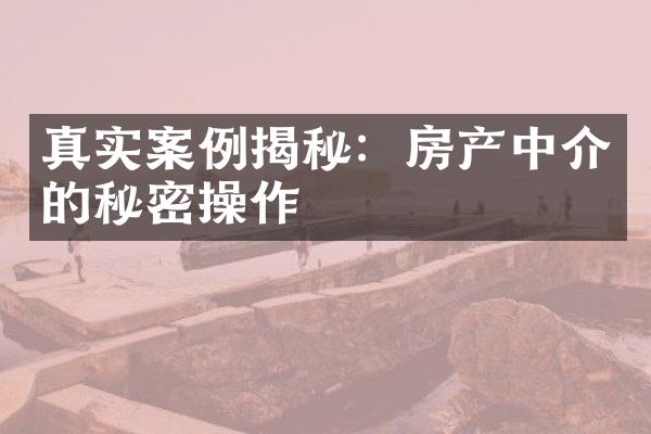 真实案例揭秘：房产中介的秘密操作