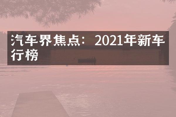 汽车界焦点：2021年新车排行榜